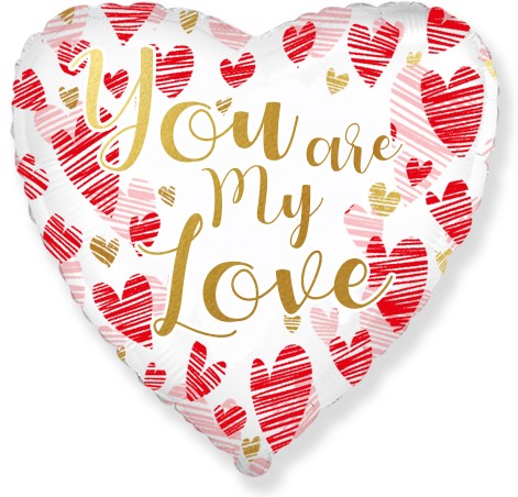 Купить воздушный шар Сердце "You are my love" в Нижнем Новгороде по выгодной цене